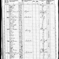Michael Garragan; 1860 Census