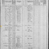 Mary Hartigan; 1870 Census
