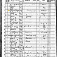 Hannah Boyle; 1860 Census (2)