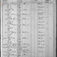Timothy Flaherty; 1860 Census