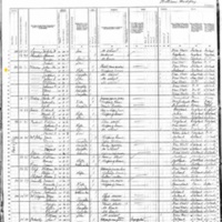 Ann Swanton; 1880 Census (Listed as Ann Harvey)