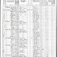 Patrick O'Reilly; 1870 Census