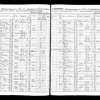 Peter Prunty; 1855 Census