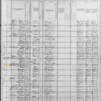 Timothy Flaherty; 1880 Census