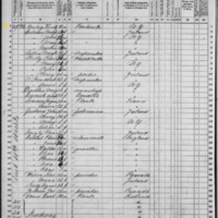 James Mulry; 1870 Census (2)