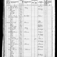 Ann Roche; 1860 Census
