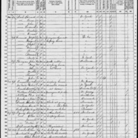 Ellen Constant; 1870 Census