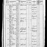 Edward and Bridget Reynolds; 1860 Census