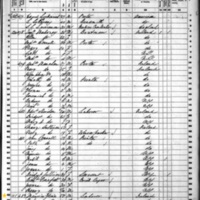 Maurice Flynn; 1860 Census (1)