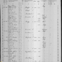 Timothy Gallivan; 1860 Census