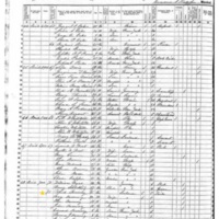 Patrick DeCourcy; 1855 Census