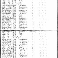 Patrick and Mary DeCourcy on Ship Manifest