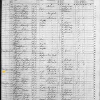 Mary Speckhon; 1855 Census