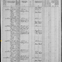 Timothy Flaherty; 1870 Census