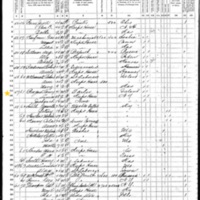 Patrick and Louisa Brogan; 1870 Census