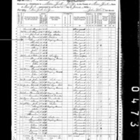 Margaret Hanley; 1870 Census