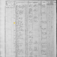 Ellen Connell; 1855 Census