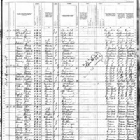 Henry Brennan, Surviving Family Members; 1880 Census (1)
