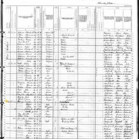 Martin Cannon; 1880 Census