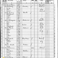 Margaret O'Leary; 1860 Census