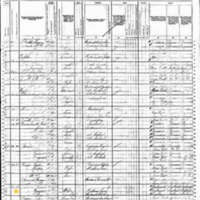 Thomas and Margaret Dawson; 1880 Census
