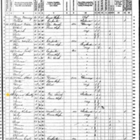 Edward Bradley; 1870 Census
