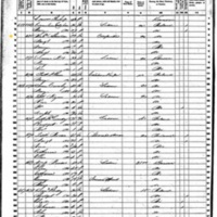 Margaret and Michael Sheridan; 1860 Census