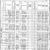 Catherine Connelly; 1880 Census