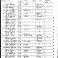 Eliza and Jane Crowley; 1850 Census