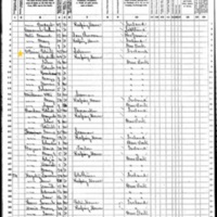 Elizabeth and Patrick O'Brien; 1870 Census