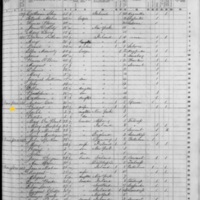 Bridget Cox; 1855 Census