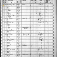 Ann Fogarty; 1860 Census