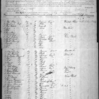 Susan Cummiskey on Ship Manifest