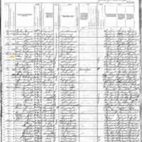 Ann Maria Coffin; 1880 Census