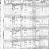 Johanna Cragin; 1855 Census
