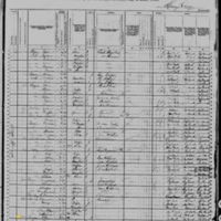 John Brogan, Surviving Family Members; 1880 Census