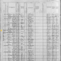 Francis Dugan; 1880 Census