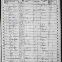 Johanna Dwyer; 1860 Census
