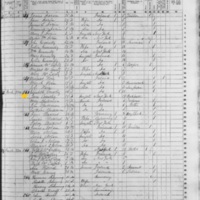 Eliza and Jane Crowley; 1855 Census