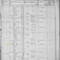 Thomas and Margaret Dawson; 1855 Census
