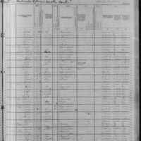 Bartholomew Finn; 1880 Census