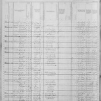 Thomas E. Foran; 1880 Census (1)