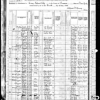 Thomas Anderson; 1880 Census