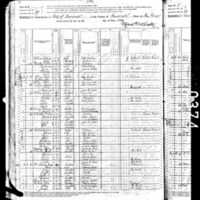 Ann Driscoll; 1880 Census