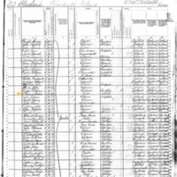 Simon O'Connor; 1880 Census