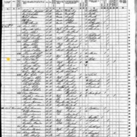 Patrick Barry; 1855 Census