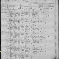 Owen Daley; 1875 Census (Owen Misnamed as Eugene)
