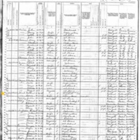 Michael and Ann Short; 1880 Census