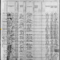 Peter Durham; 1880 Census