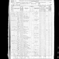 Cornelius Twomey; 1870 Census